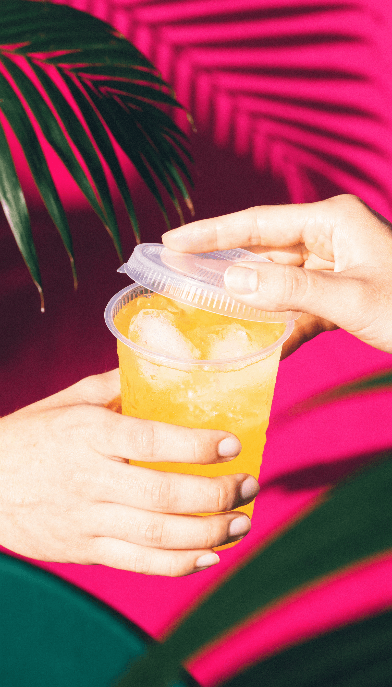 Vida Fresca watermelon blast product shot